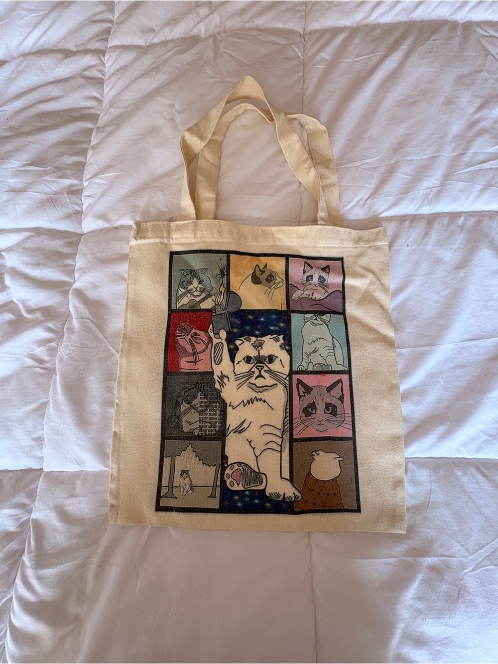 Eras Tour Cat Tote